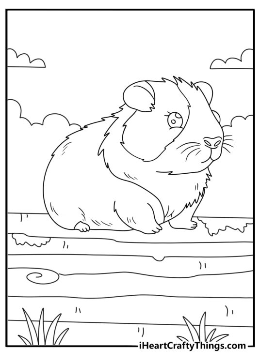 Guinea pigs inspired coloring poster presenting guinea pig sitting on a log in the forest