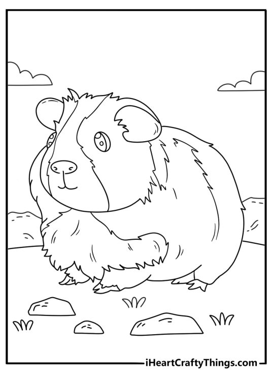 Guinea pigs themed coloring printable featuring hairy guinea pig facing left side
