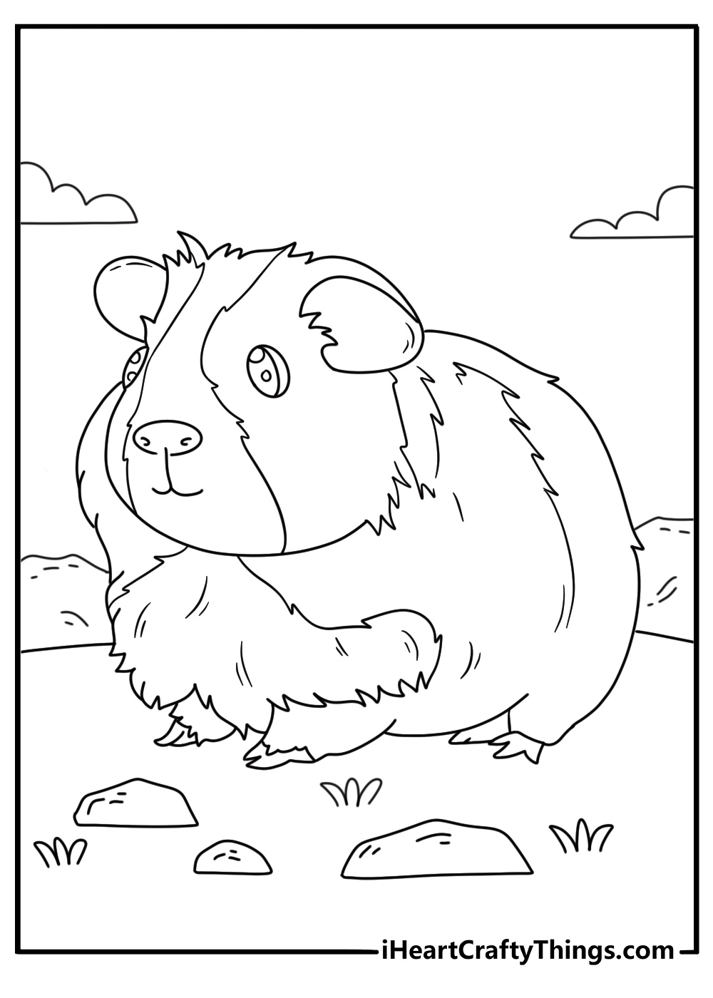 Guinea pigs themed coloring printable featuring hairy guinea pig facing left side