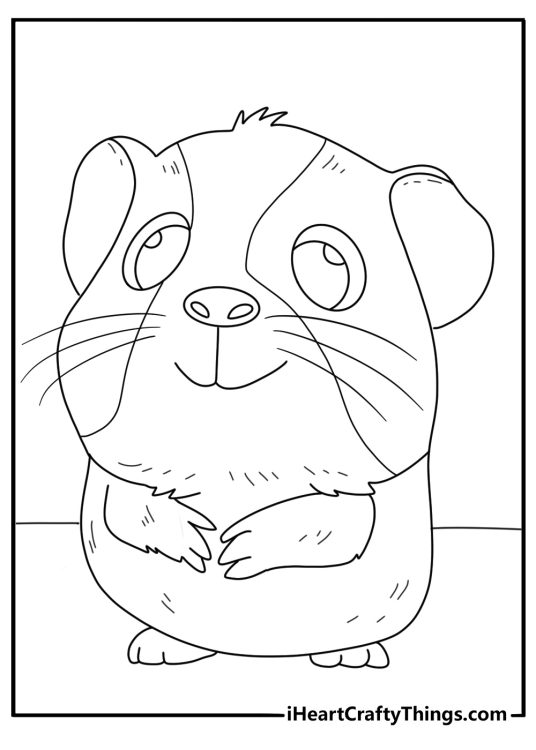 Guinea pigs themed picture presenting guinea pig with a round body small paws and a big head