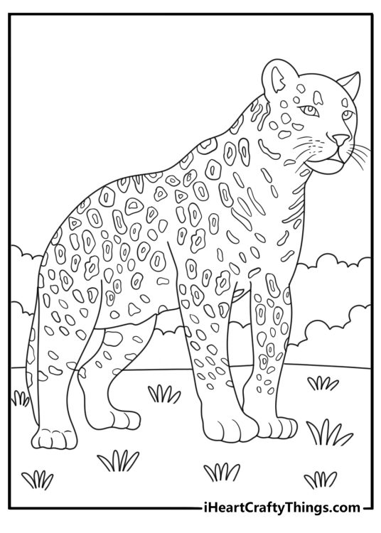 Hard jaguar coloring pages with detailed fur texture and jungle plants
