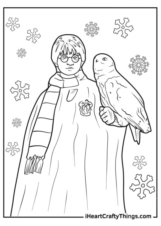 Harry Potter Holding Hedwig The Owl Coloring Page
