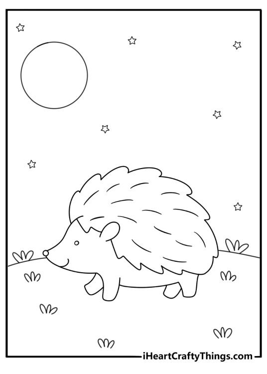 Hedgehog at night with moon and stars nocturnal scene coloring sheet pdf