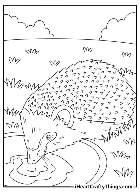 Hedgehog drinking from a woodland stream detailed coloring page printable