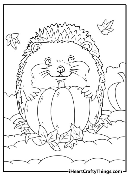 Hedgehog exploring a pumpkin patch fall themed coloring printable