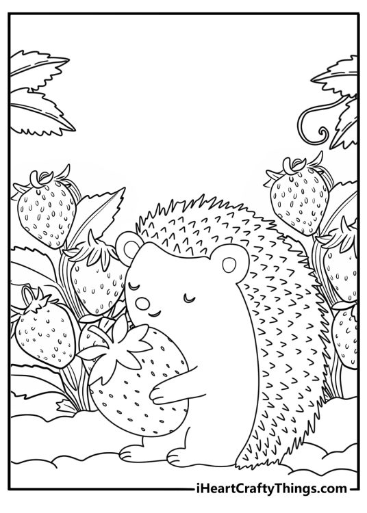 Hedgehog near a strawberry plant garden coloring sheet for kids