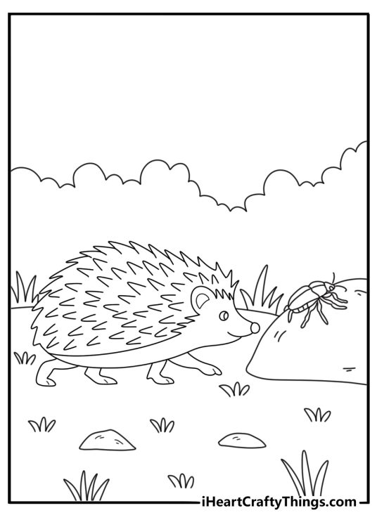 Hedgehog nose near a beetle on a stone detailed coloring page for adults