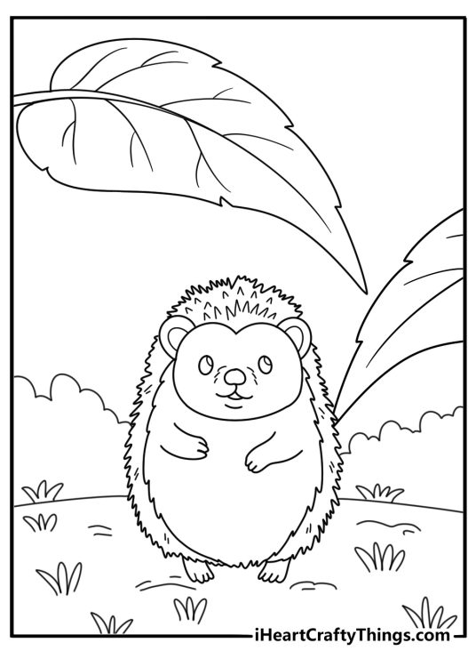 Hedgehog sheltering under a big leaf in light rain kids coloring page