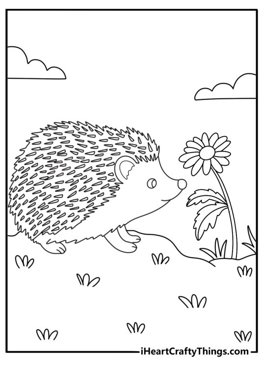 Hedgehog smelling a single daisy in a meadow easy coloring printable