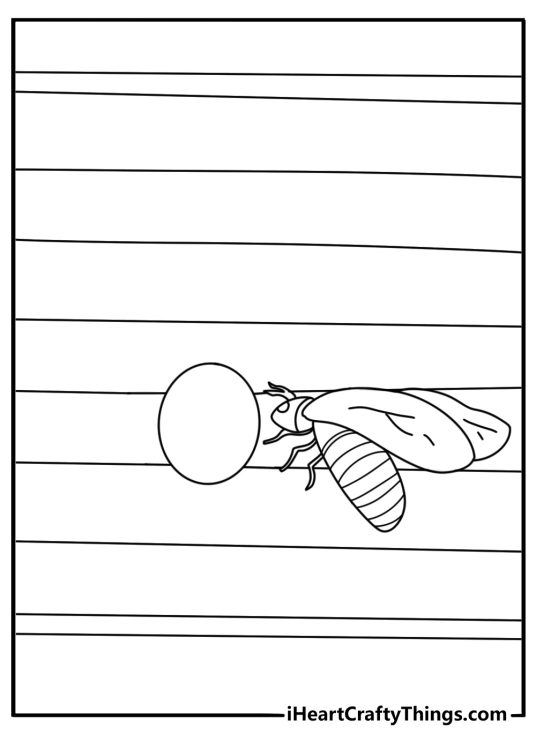 Honey bee coloring page showing a worker bee entering a wooden hive