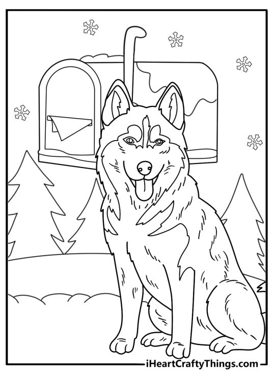 Husky coloring page for kids showing a dog beside a snow covered mailbox