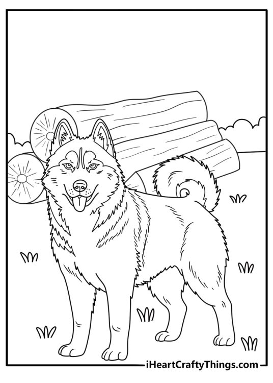 Husky coloring pages scene featuring a dog beside stacked firewood