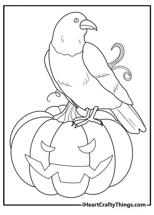 Jack O Lantern with raven perched on the stem coloring page for adults