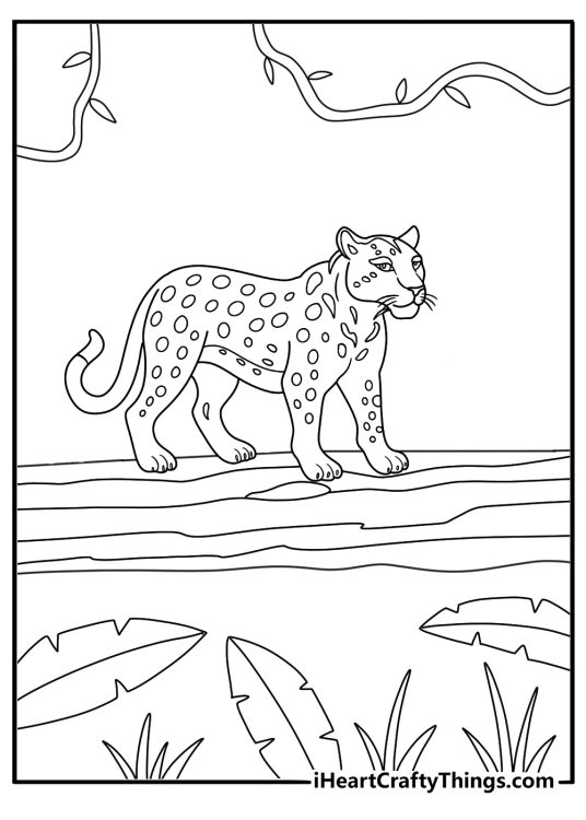 Jaguar coloring page featuring wild cat crossing fallen log in rainforest