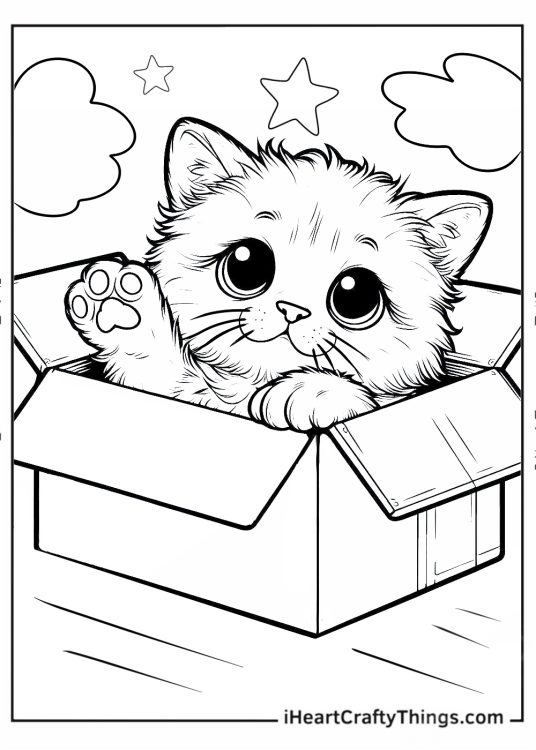 Kitten Stuck In Box Coloring Page For Preschoolers
