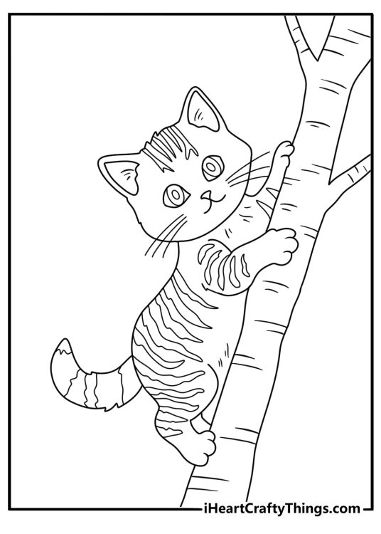 Kitten coloring pages scene featuring a young cat climbing a low tree