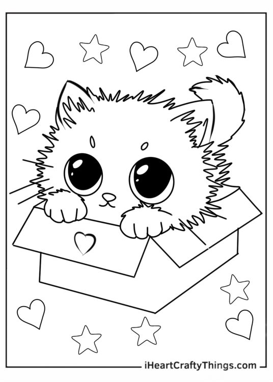 Kittens In Box For Adoption Coloring Page