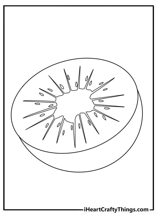 Kiwi half with radiating seeds simple printable coloring page