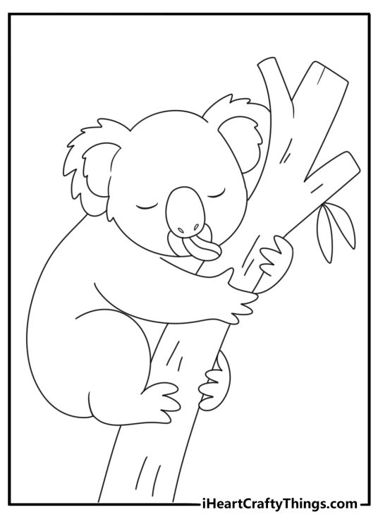 Koala bear coloring page with koala drinking water from forest creek