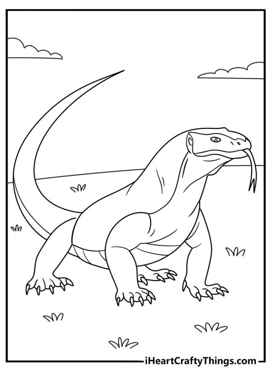 Komodo dragon walking across island plain wildlife coloring page