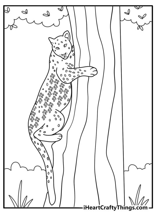Leopard climbing tall acacia tree simple coloring page