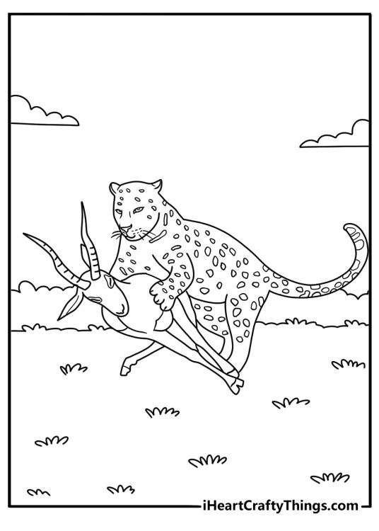 Leopard hunting antelope in savanna landscape advanced coloring page for adults