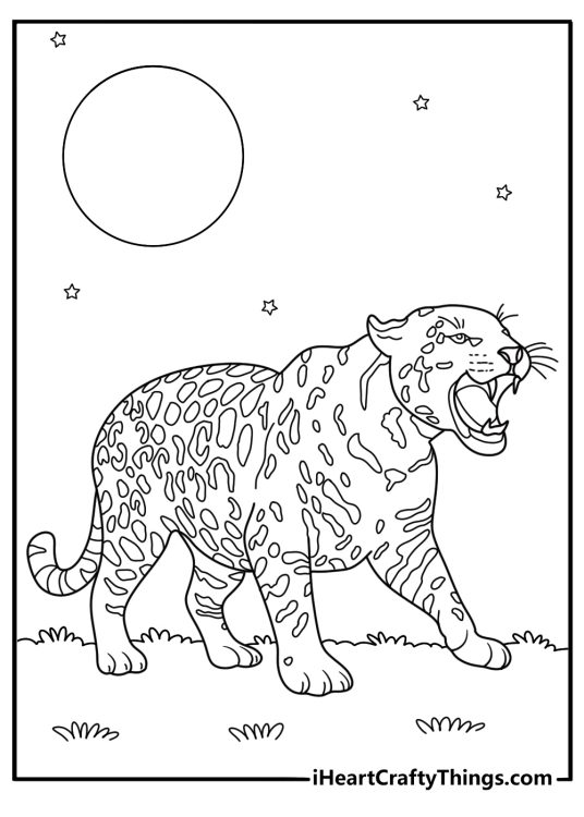 Leopard roaring under full moon night sky printable coloring sheet