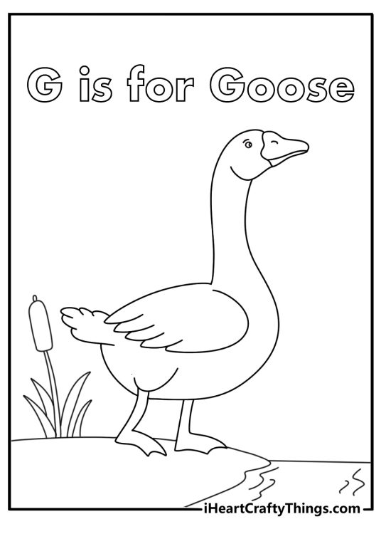Letter G coloring sheet with a goose standing near a pond