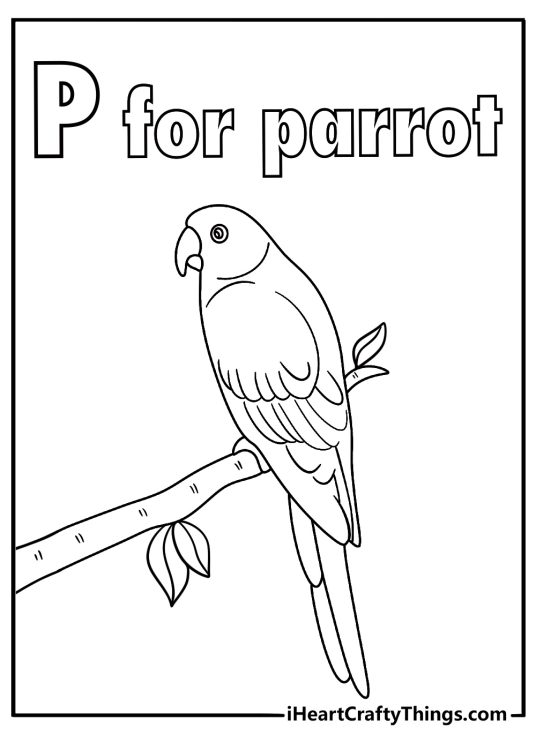 Letter P coloring page parrot theme preschool learning printable pdf