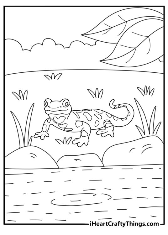 Lizard coloring page with salamander near forest pond
