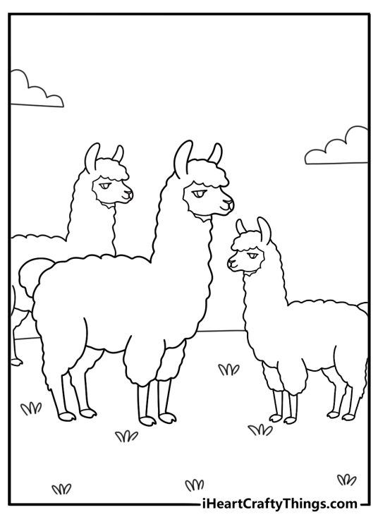 Llama coloring sheet showing a small herd on the open plain