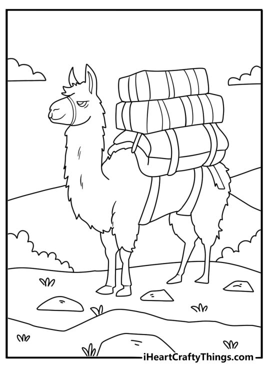 Llama printable coloring sheet on Andean mountain trail carrying pack baskets