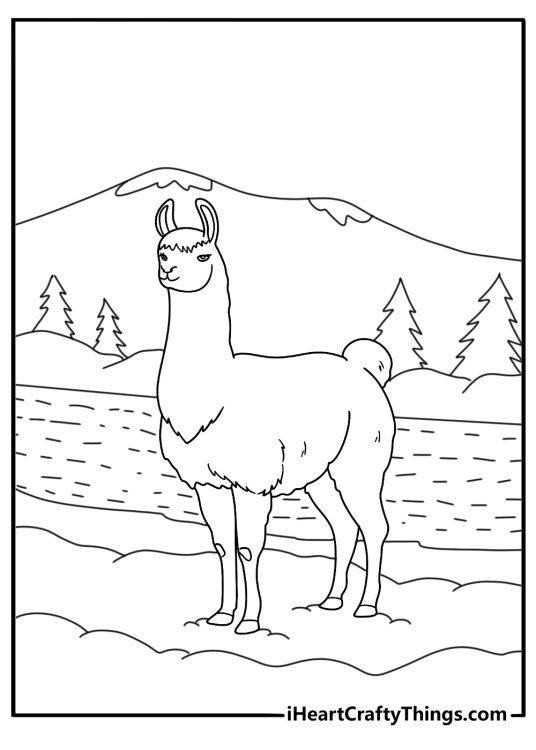 Llama printable for kids standing by a mountain lake with snowy peaks