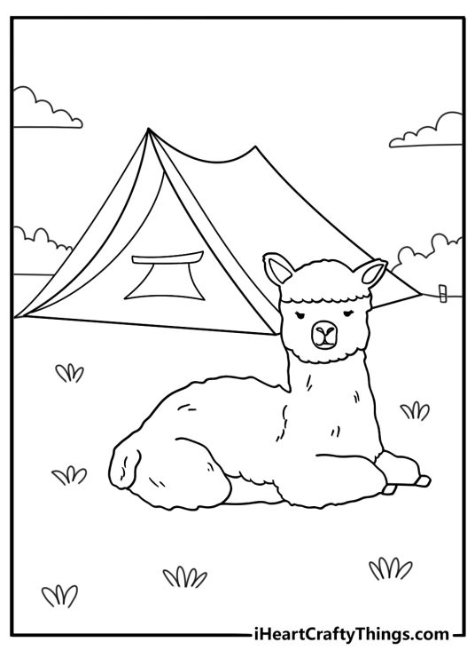 Llama printable pdf showing pack animal resting beside a camping tent