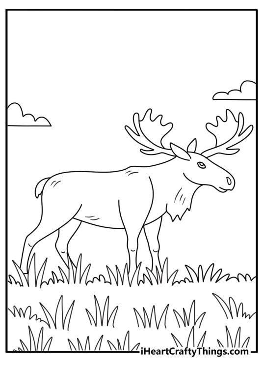 Long grasses hide the legs of a moose in this summer coloring sheet