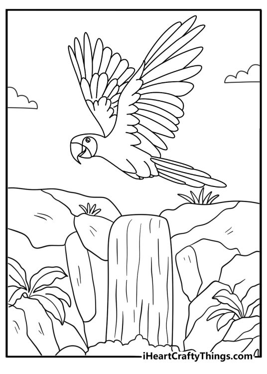Macaw coloring sheet flying over jungle waterfall for kids pdf