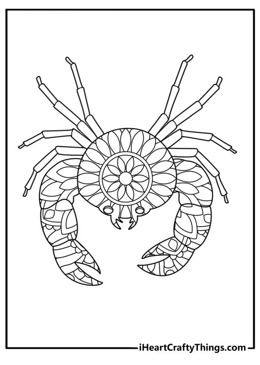 Mandala style crab with patterned shell detailed coloring page for adults