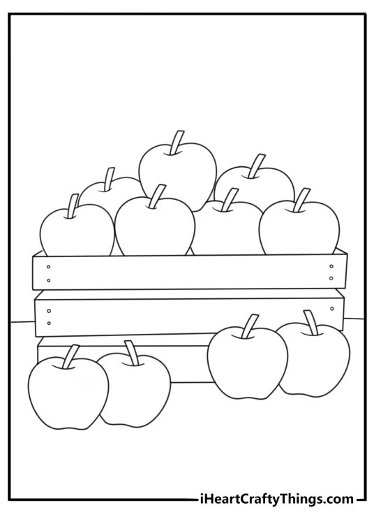 Market crate filled with apples fruit coloring sheet