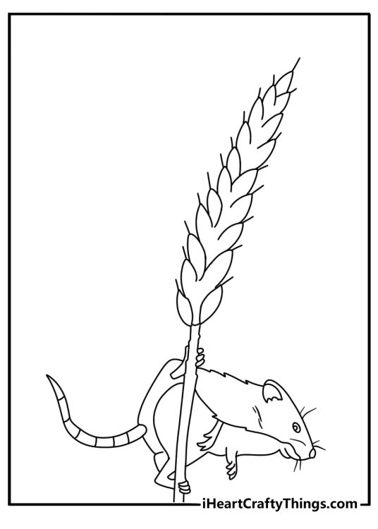 Mouse coloring sheet with a field mouse under wheat stalks