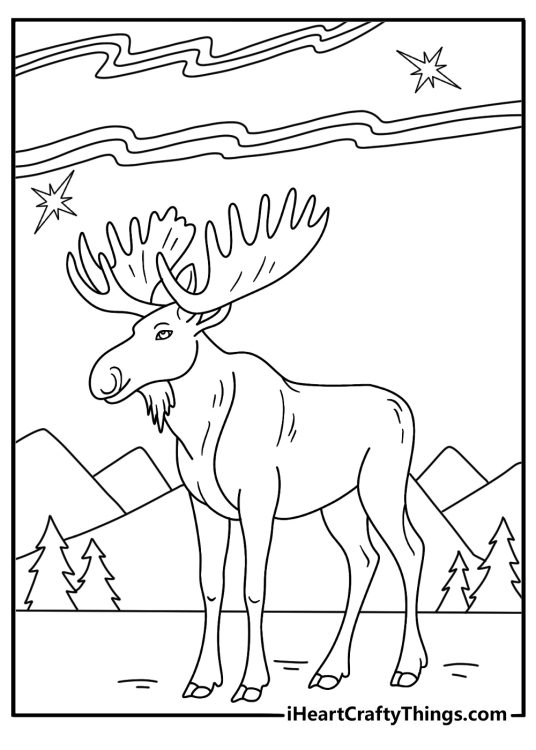 Northern lights glow above a moose in this detailed nature coloring sheet