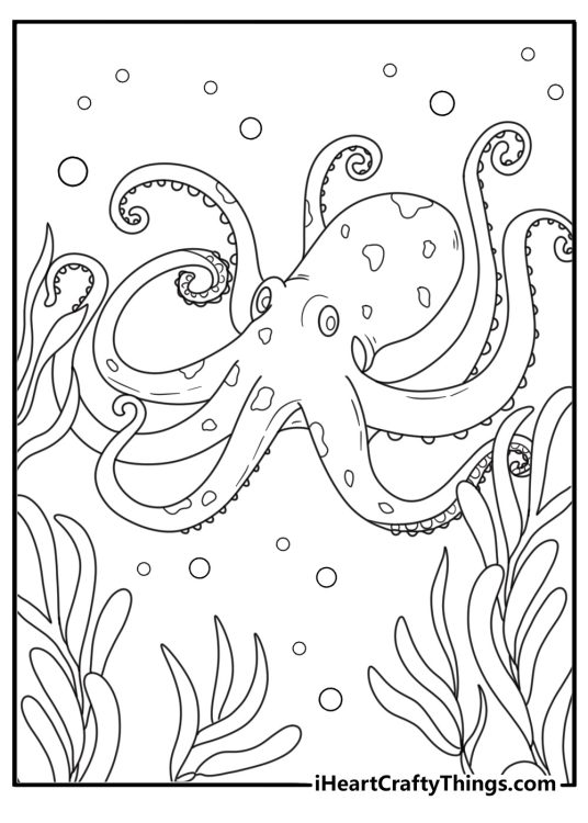Octopus camouflaged against kelp forest leaves detailed coloring sheet