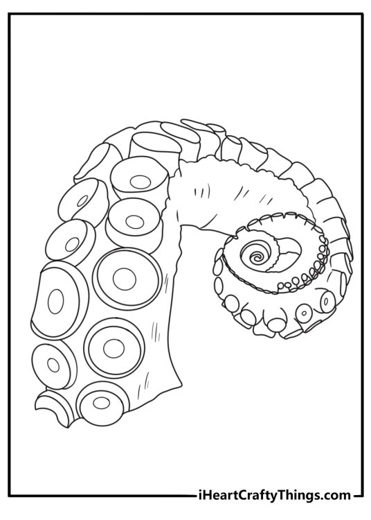 Octopus tentacle close up with suckers macro view detailed coloring printable