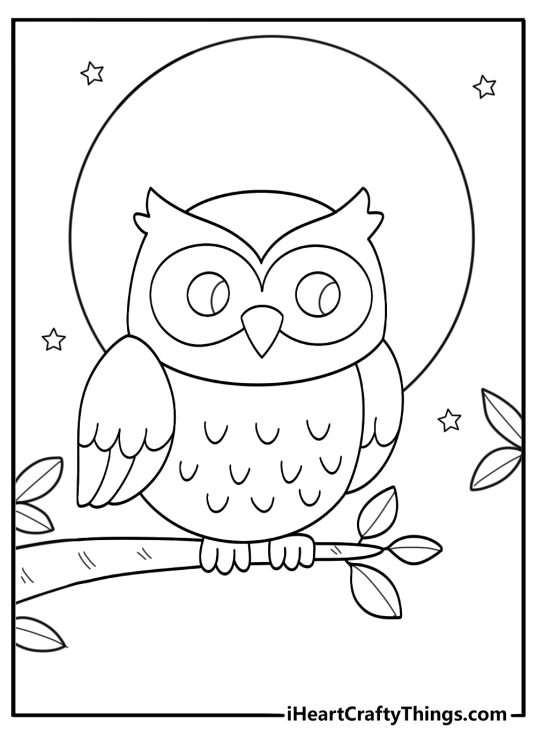 Owl on branch night forest coloring sheet free pdf download
