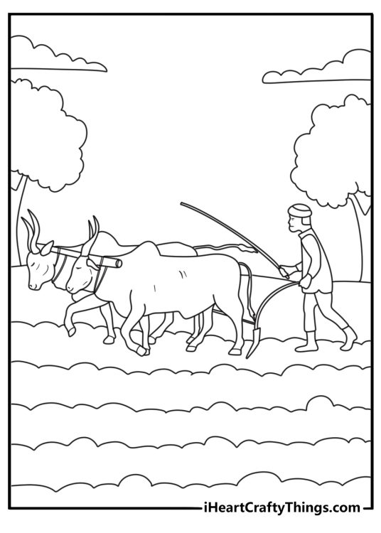 Ox team plowing a field printable coloring sheet for adults