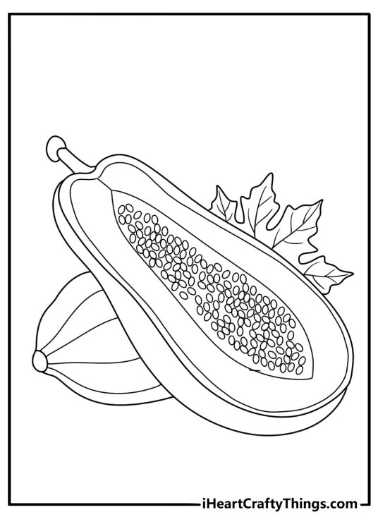 Papaya open showing seeds detailed fruit coloring page for adults