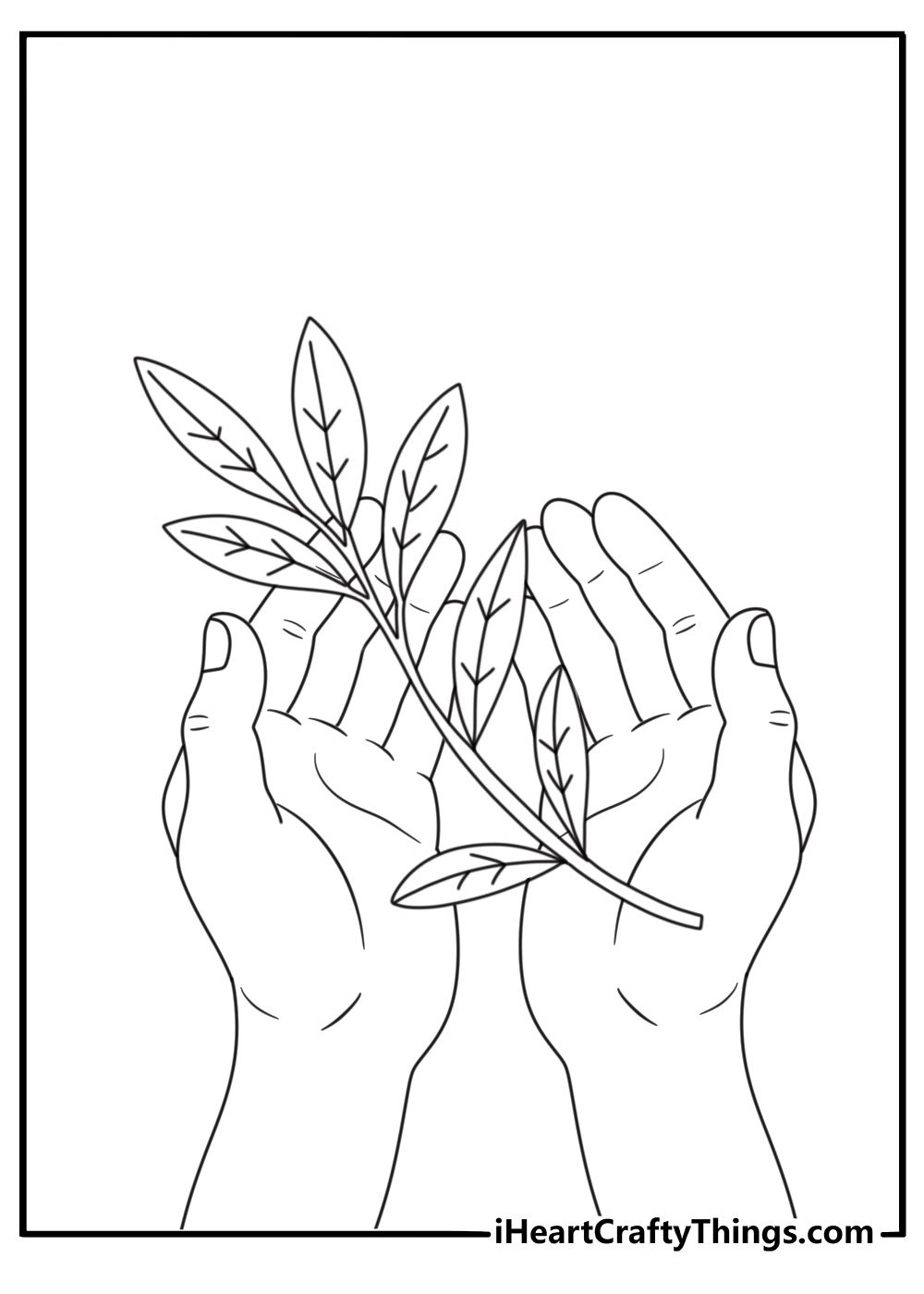 Peace coloring page showing two hands gently holding an olive branch