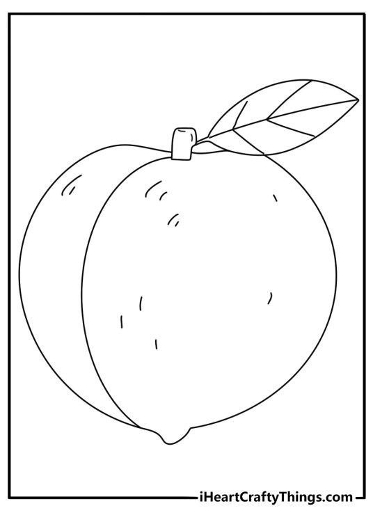 Peach with leaf and round shape fruit coloring printable