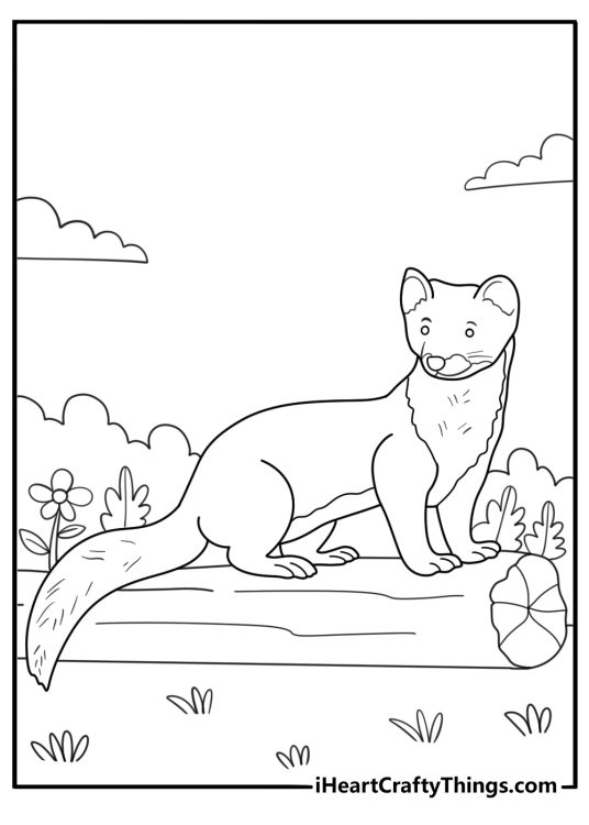 Pine marten on a fallen log kawaii coloring sheet for kids