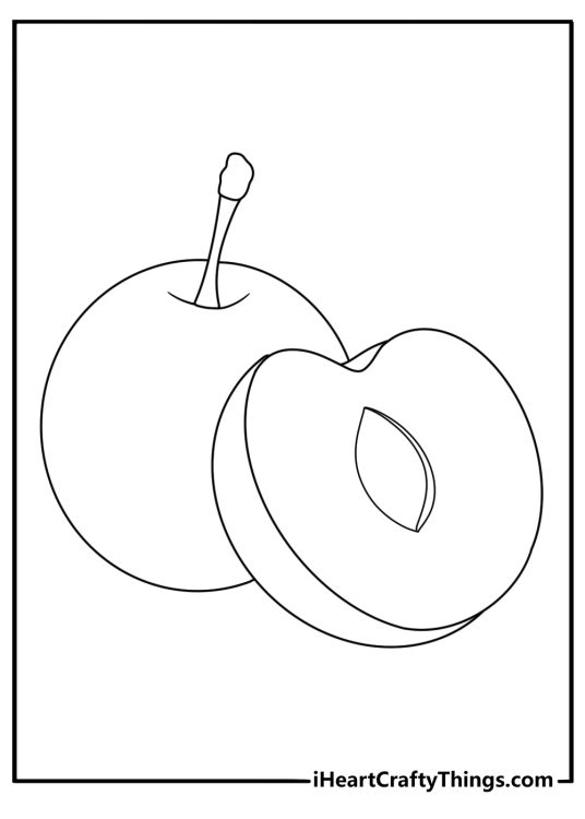 Plum whole and halved fruit coloring page for kids