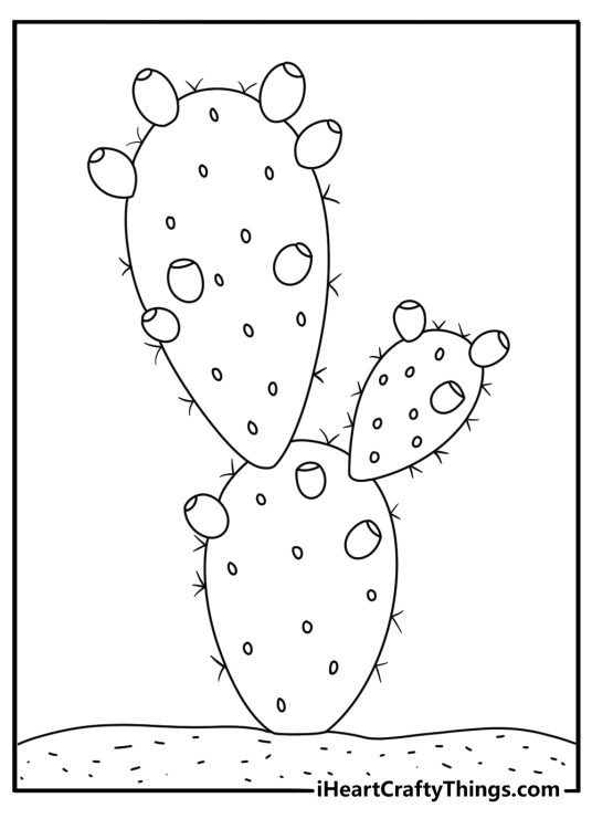 Prickly pear cactus with oval pads and small fruits simple cactus coloring page